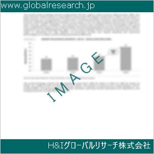 グローバルリサーチ調査資料のイメージ